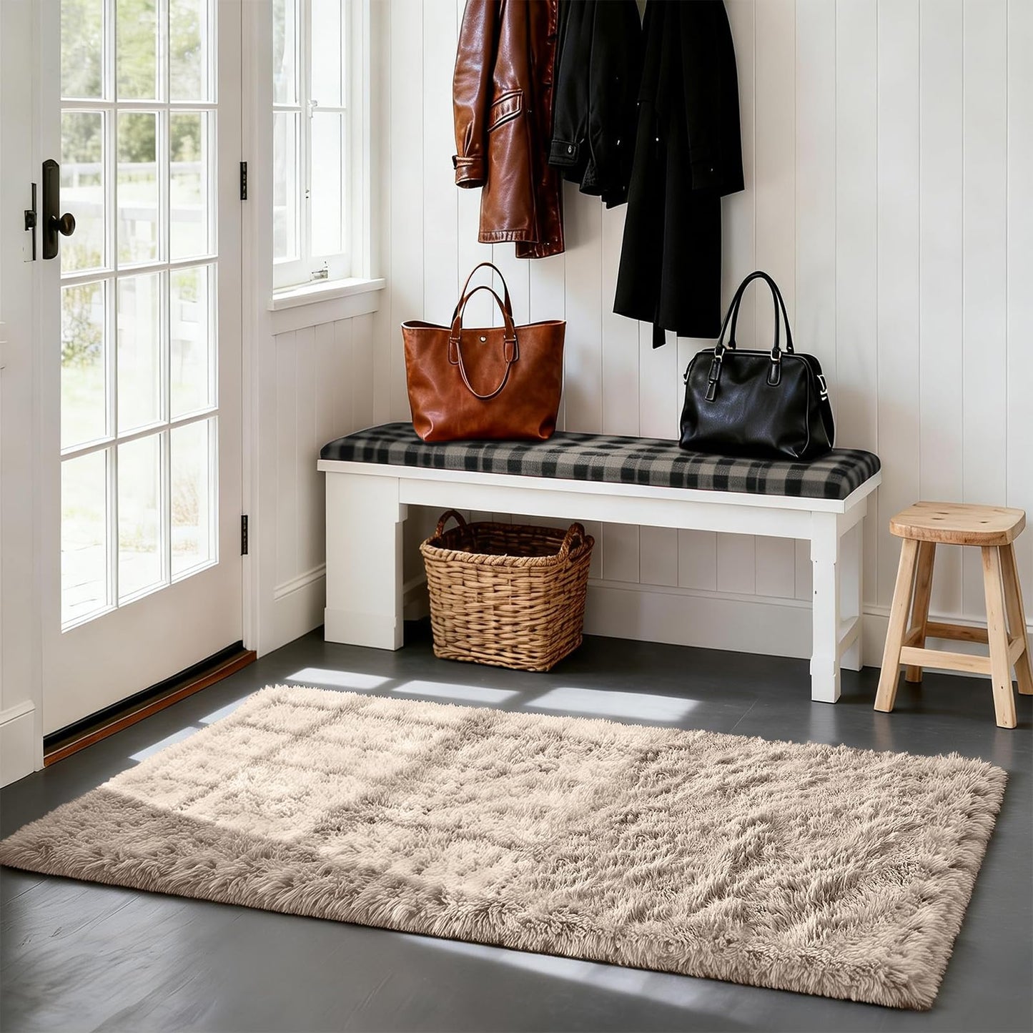 Fluffy Rug Shag Area Rug, Beige 2x4 Area Rugs for Bedroom, Small Bedside Rug, Soft Fluffy Shag Entryway Throw Rugs for Living Room Bedroom Kids Room Home Decor