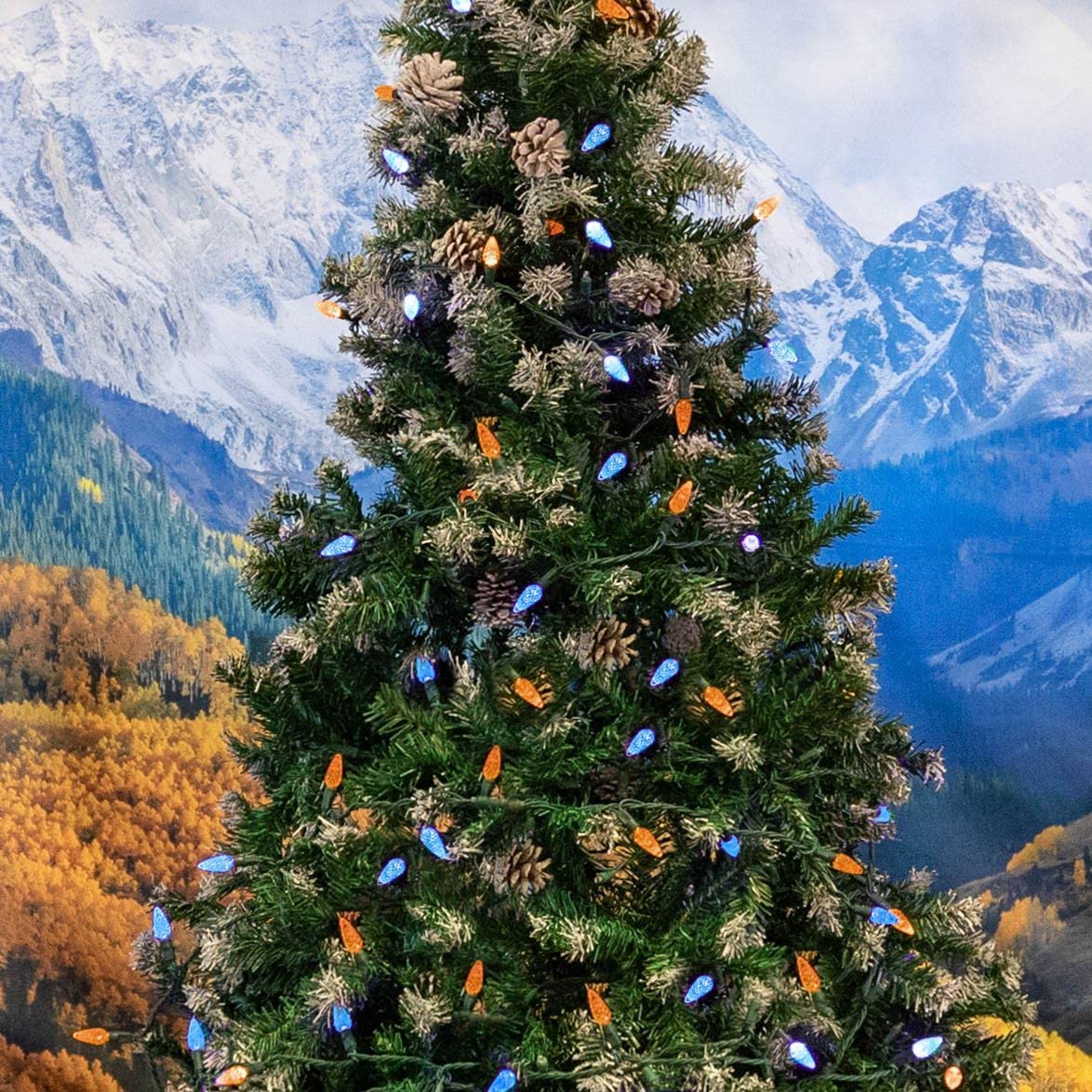 Novelty Lights 24FT 70 LED C6 Christmas String Lights, Outdoor Commercial Grade Tree Decorations, Permanent LED Lights (Blue/Orange)