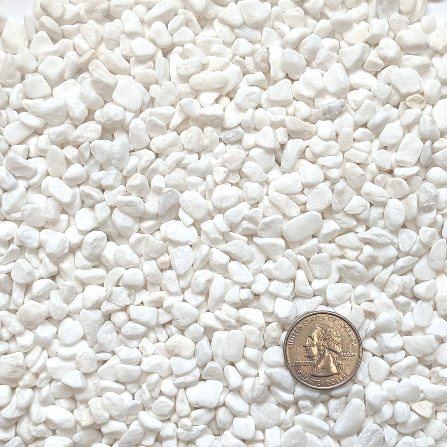 Midwest Hearth Decorative White Bean Pebbles 1/5" Size (10-lb Bag)