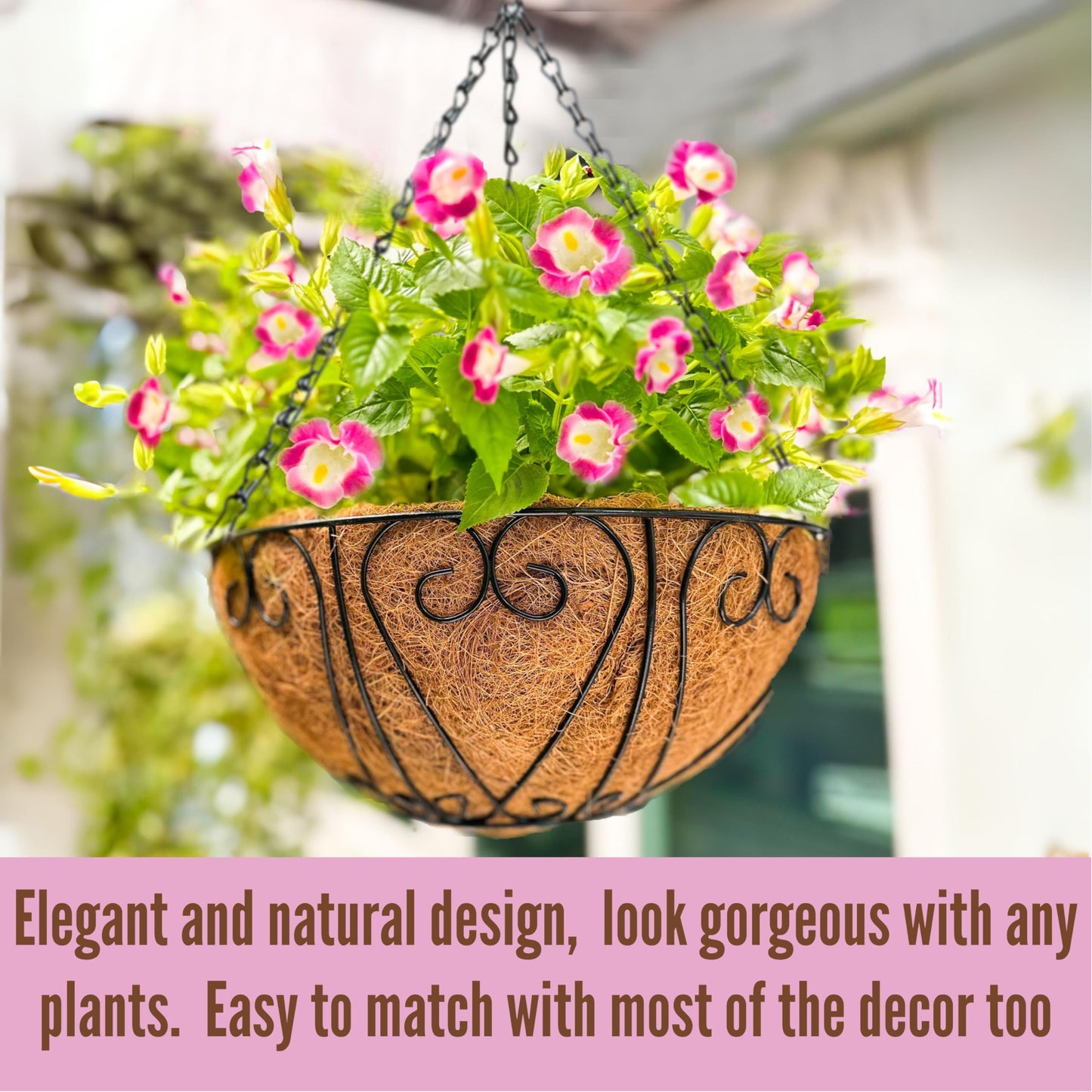 LaLaGreen Hanging Baskets for Plants (10 Inch, 2 Pack) Small Hanging Flower Pots with Coco Liner, Black Metal Wire Round Plant Holder with Hanger Hook Chain Outdoor Deck Patio Balcony Garden Decor