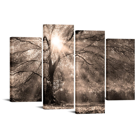 LevvArts 4 Piece Big Tree Sunshine Wall Art Canvas Nature Forest Landscape Picture Painting Vintage Sepia Photo Prints Artwork for Home Living Room Office Decor