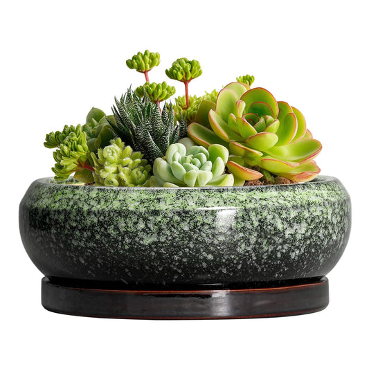 EPFamily Succulent Pots 6 Inch - Ceramic Bonsai Pots with Drainage Hole and Saucer, Succulent Planters for Indoor Outdoor, Small Shallow Planter, Round Cactus Pot, Room Decor, Plant Lover Gift, Green