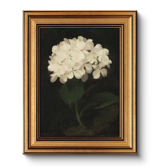 HUARCEY Gold Framed Vintage Wall Art for Living Room, Flowers Painting Canvas Prints Shelf Decor for Kitchen, Aesthetic Bedroom Wall Art, Christmas Gifts for Friends or Family (White Hydrangea 8"x10")