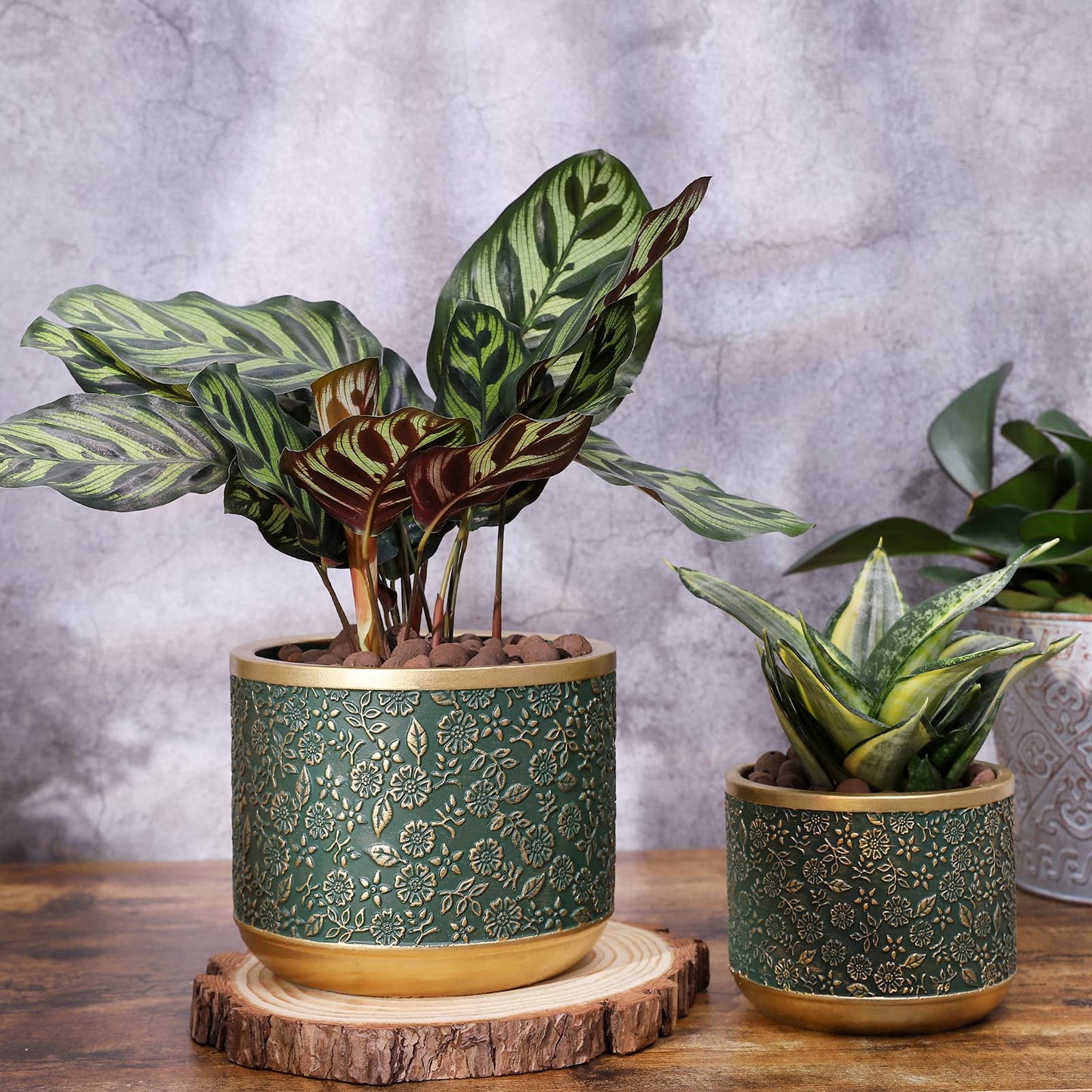 Ten-stone 6 +4.4 Inch Cement Planter Decorative Pots with Drainage Hole for All House Plants, Succulents, Flowers, and Cactus (Green)