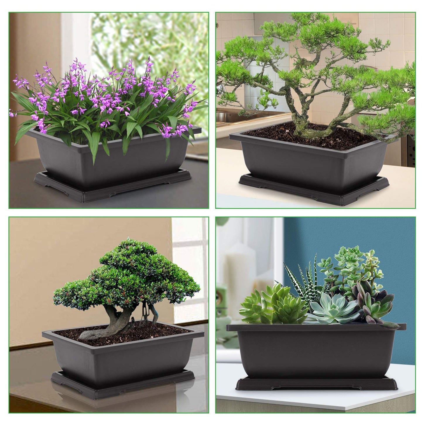 GROWNEER Bonsai Pots 3 Packs 11 Inch Bonsai Tree Training Pot with Humidity Drainage Trays & Repotting Mat Rectangle Planter Plants Starter Kit Growing for Garden Yard Office Indoor Outdoor