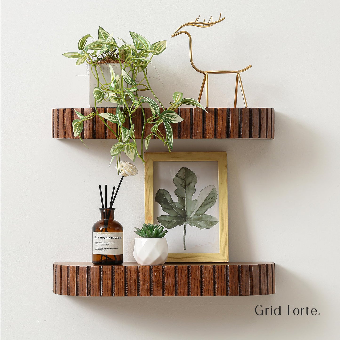 GRID FORTE Wood Rounded Fluted Floating Shelf Set of 2, 16Wx5.5D Inch– Modern Display Shelf with Decorative Edge, Rustic Hanging Storage for Plants, Books, Photos & Home Décor