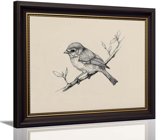yunjulp Vintage Dark Brown Framed Wall Art, Minimalist Bird Sketch Canvas Art Prints Painting, Antique Nature Line Drawing Wall Art Picture, Rustic Beige Farmhouse Wall Decor for Bedroom,Desktop 9x11Inch