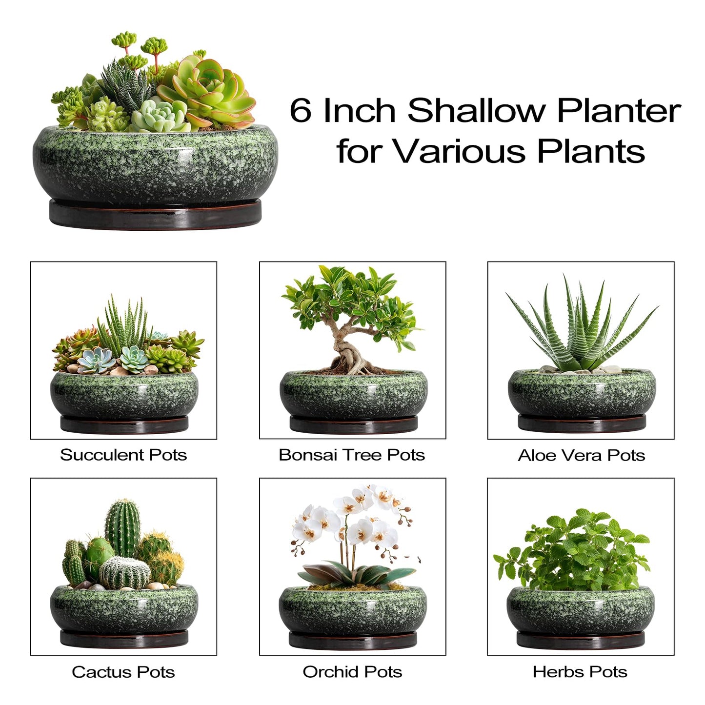EPFamily Succulent Pots 6 Inch - Ceramic Bonsai Pots with Drainage Hole and Saucer, Succulent Planters for Indoor Outdoor, Small Shallow Planter, Round Cactus Pot, Room Decor, Plant Lover Gift, Green