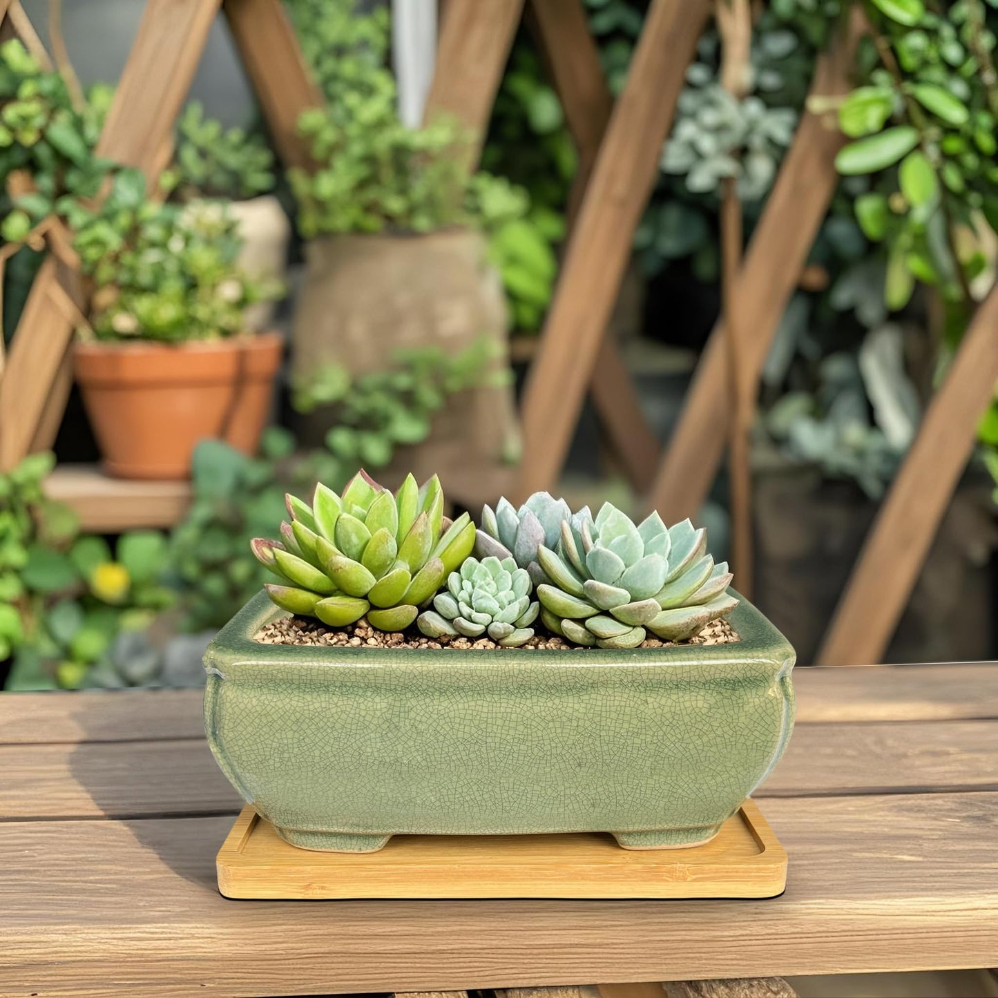 MUZHI 2pcs Green Ceramic Bonsai Planter Pots with Bamboo Tray 6.2 “ & 5.3”, Rectangular Glazed Bonsai & Succulent Cactus Starter Pot with Drainage Ice Crack Design