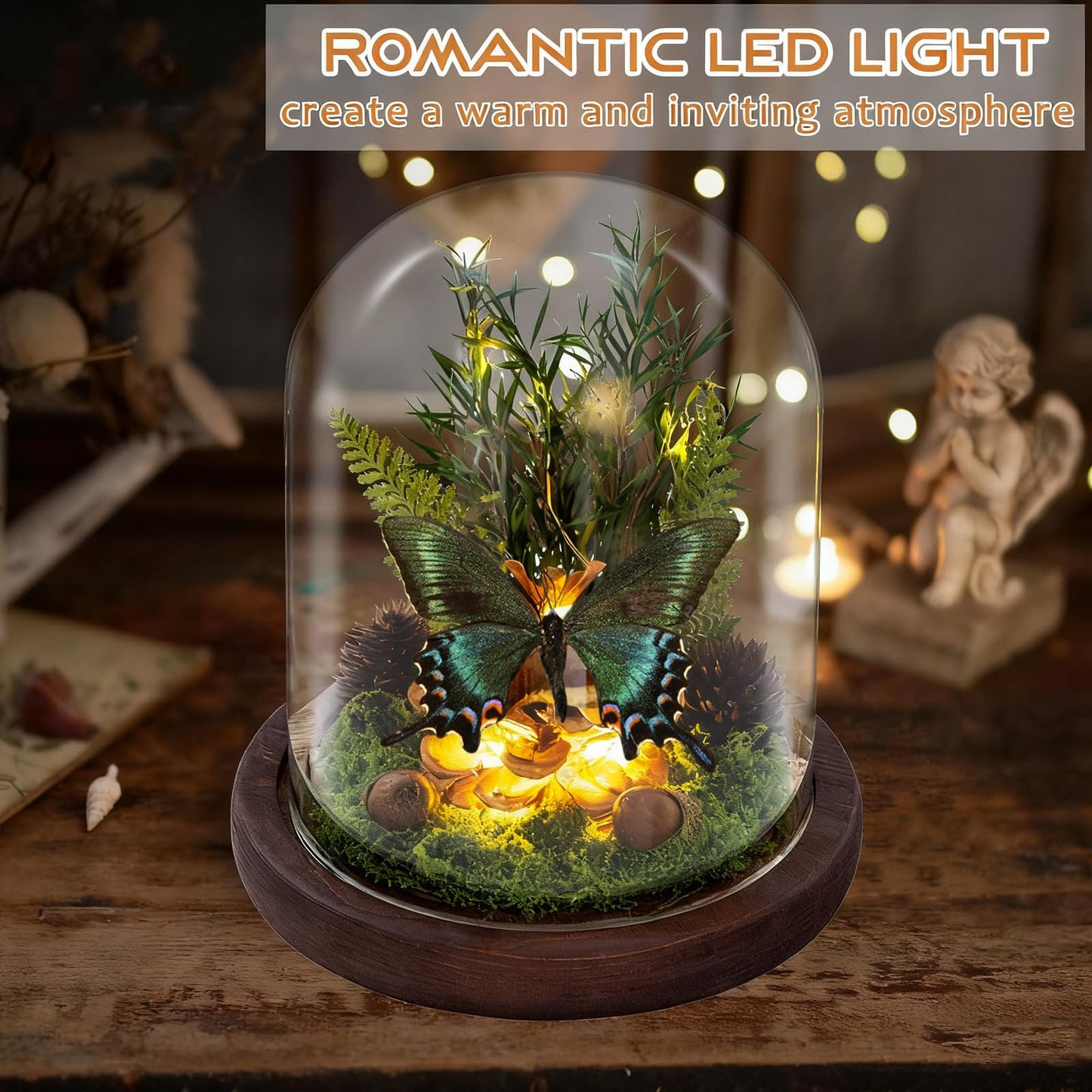 Glass Taxidermy Butterfly Shadow Box Shelf Decor, Nature Gifts for Women Girls, Light Up Butterfly Table Decor for Office Living Room Kitchen Entryway Bookshelf Desk (Not Include Battery)