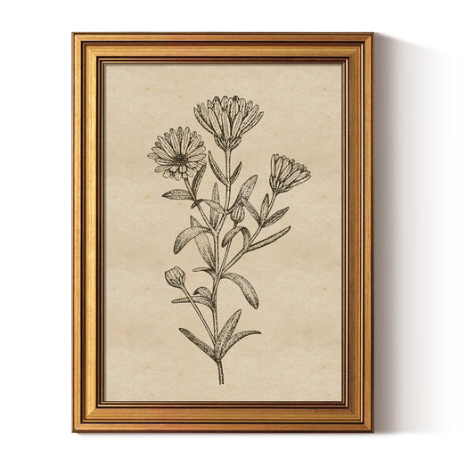 ARPEOTCY Gold Framed Canvas Art Prints,12x16inch, Botanical Wildflower Art Painting, Vintage Country Decor for Bathroom Bedroom Kitchen Shelf, Rustic Cottagecore Minimalist Plant Pictures