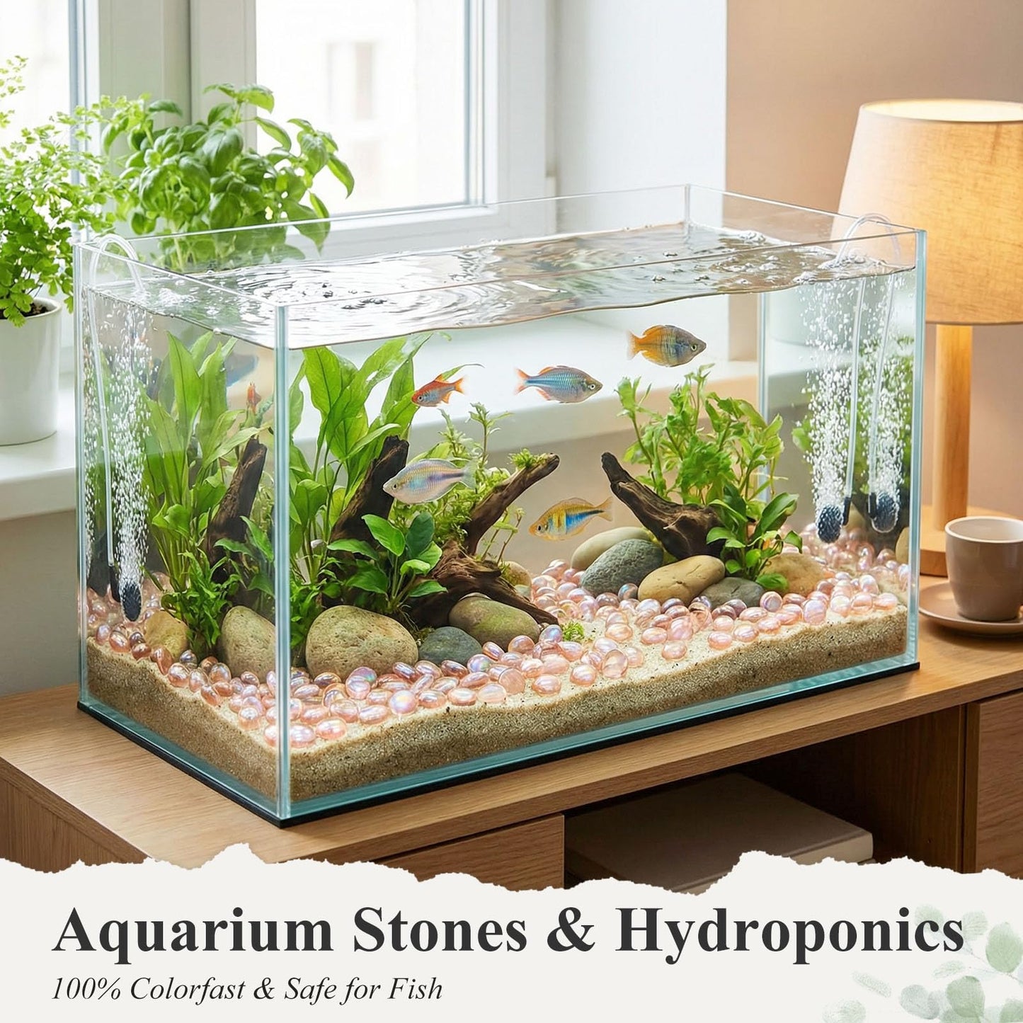 DomeStar 1LB Flat Glass Marbles, Champagne Decorative Marbles for Vases Aquarium Pebbles Fish Tank Rocks Vase Fillers DIY Crafts Table Scatter Decor