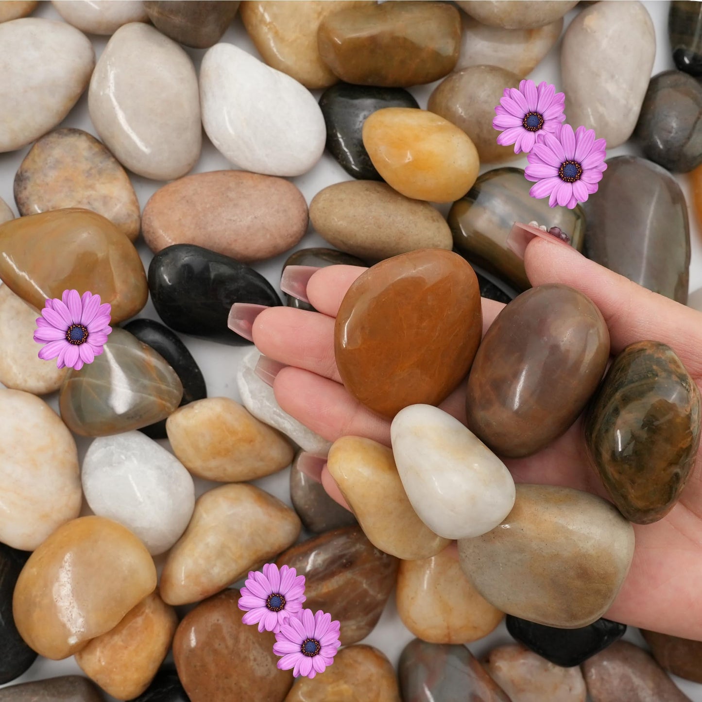 NUPICK 16lb Mix River Rocks for Outdoor Landscaping, 1-2 Inch Pebbles for Indoor Plants, Natural Polished Aquarium Gravel, Decorative Rocks for Succulent, Garden, Vases Fillers, Bird Baths