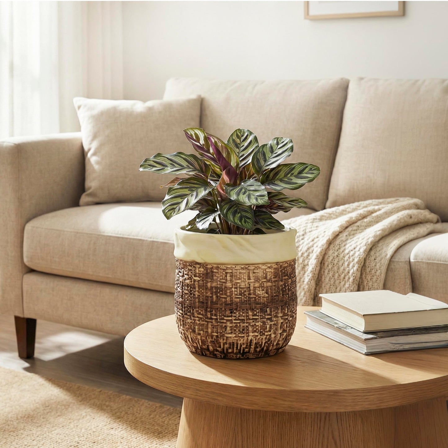 Teagas 6 Inch Plant Pot - Ceramic Pots for Plants with Drainage Hole and Plug, Unique Plant Pots for Indoor Outdoor Plants, Round Planter, Room Home Decor, Gifts for Plant Lovers, Brown