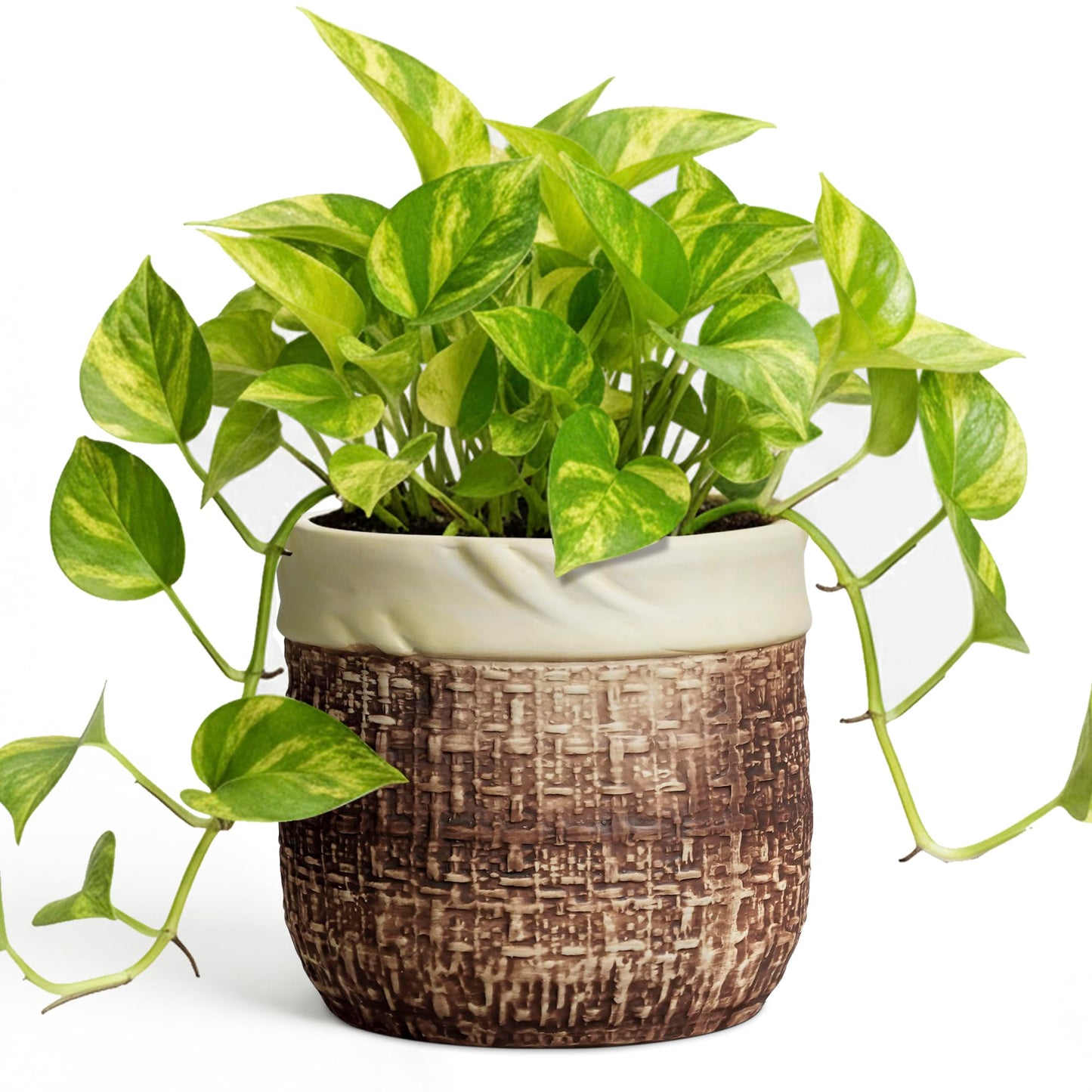Teagas 6 Inch Plant Pot - Ceramic Pots for Plants with Drainage Hole and Plug, Unique Plant Pots for Indoor Outdoor Plants, Round Planter, Room Home Decor, Gifts for Plant Lovers, Brown