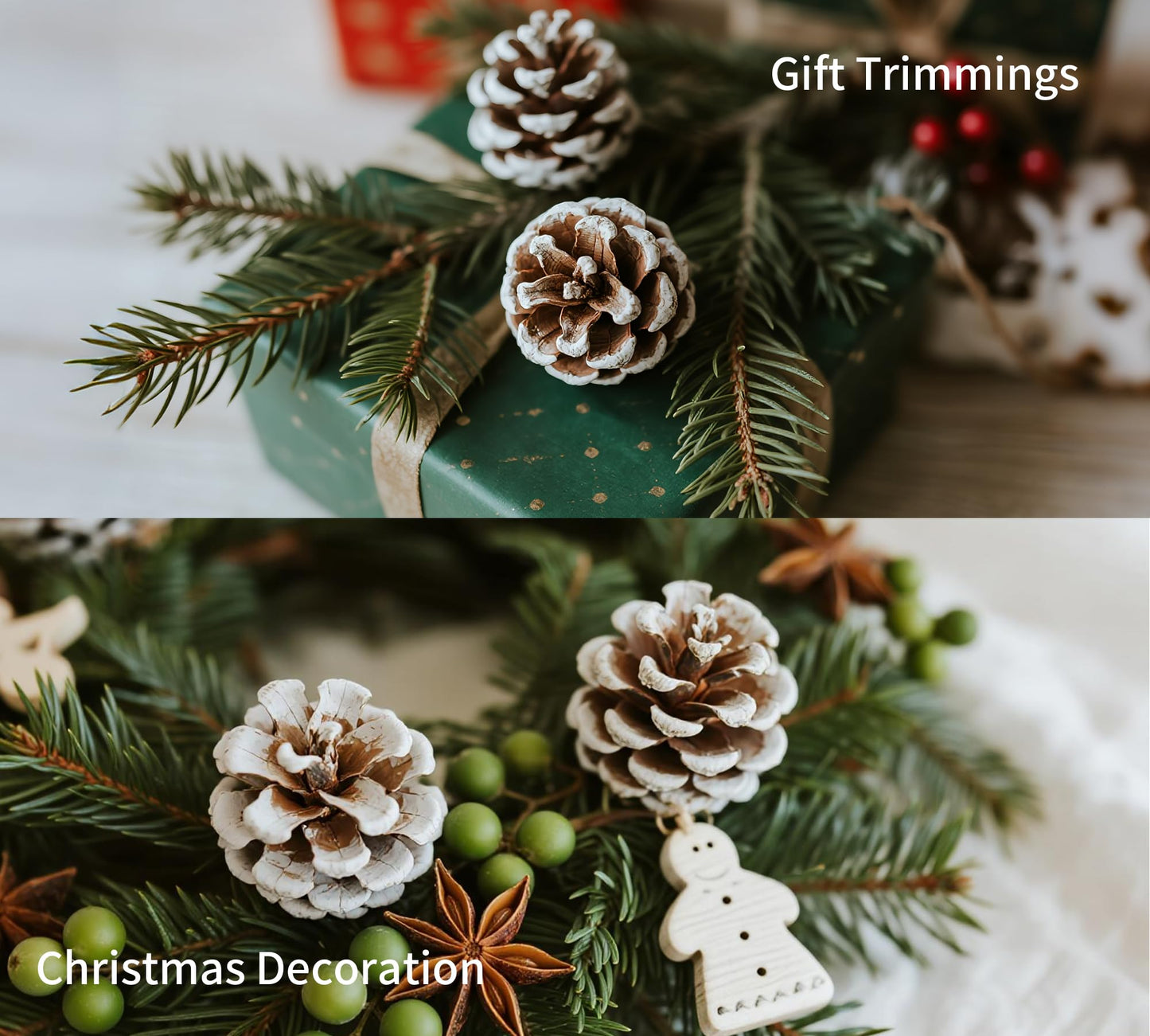 DIY Natural Dried Flower Kit - Bulk Dried Plants, Pine Cones, Scented Lemon Slices, Cinnamon Sticks Wood Roses & Mini Pinecones for Home Décor, Christmas Decoration (Green)