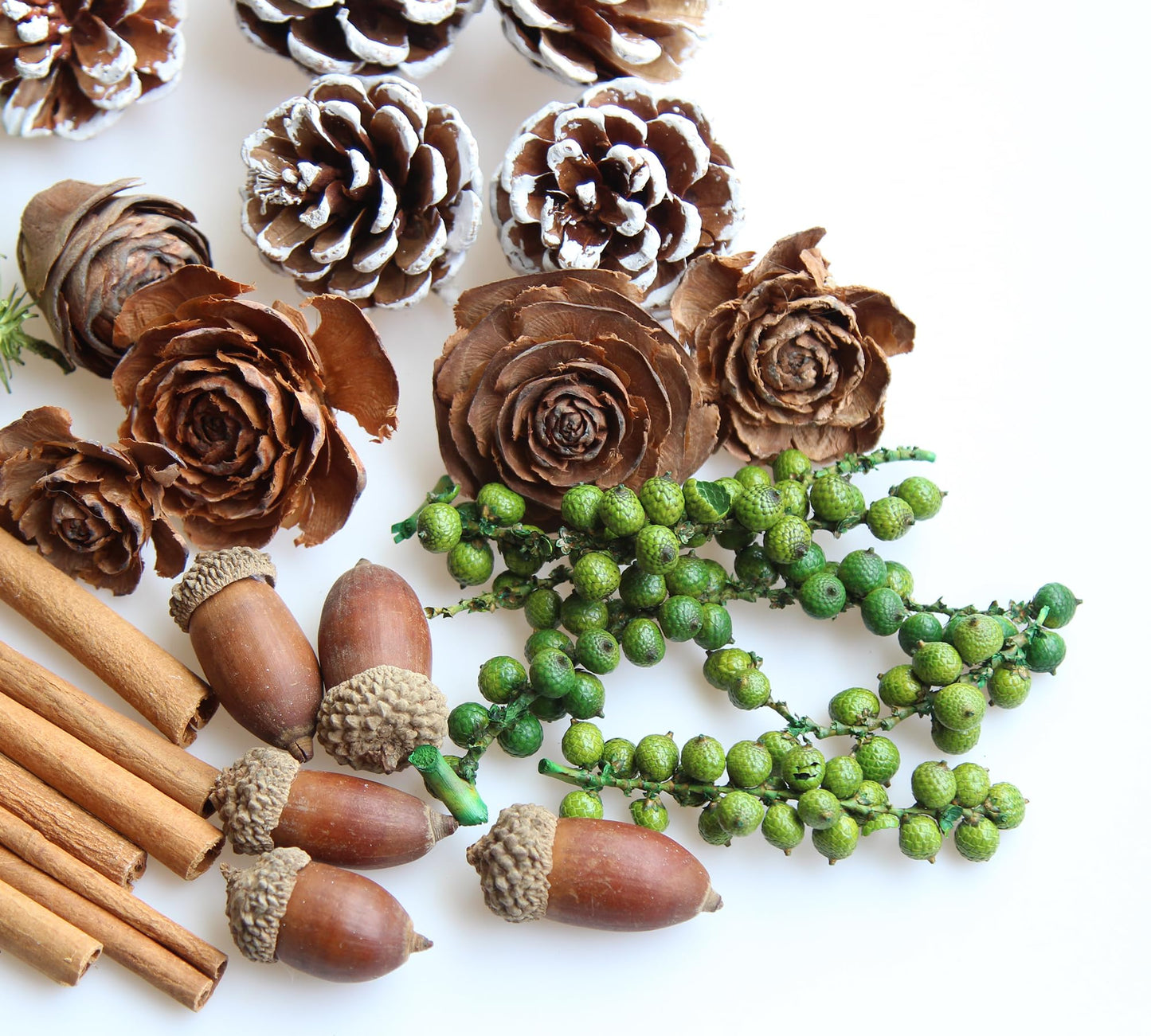 DIY Natural Dried Flower Kit - Bulk Dried Plants, Pine Cones, Scented Lemon Slices, Cinnamon Sticks Wood Roses & Mini Pinecones for Home Décor, Christmas Decoration (Green)