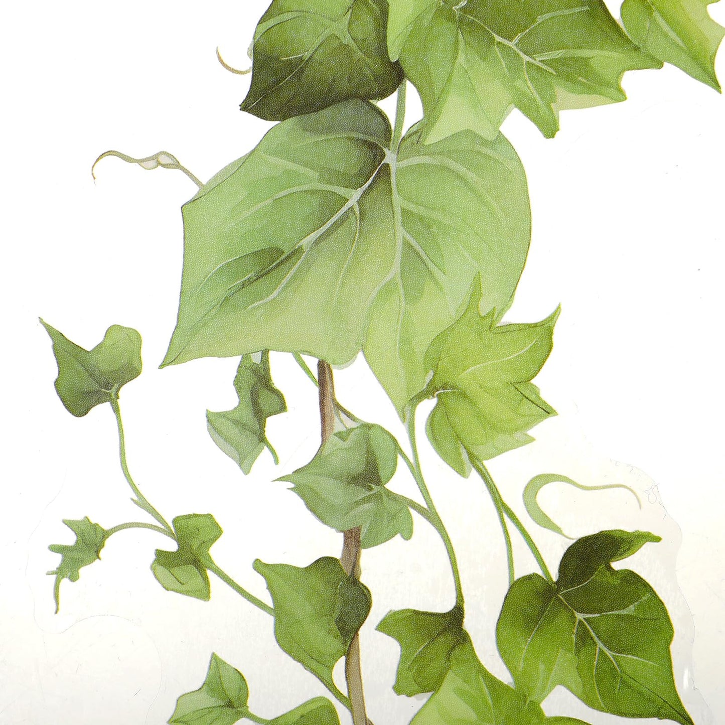Green Leafy Vine Wall Stickers Decor 4 Pcs Green Natural Plant Wall Decals Peel and Stick Leaf Wall Stickers for Living Room Bedroom Classroom Kitchen Art Decorations