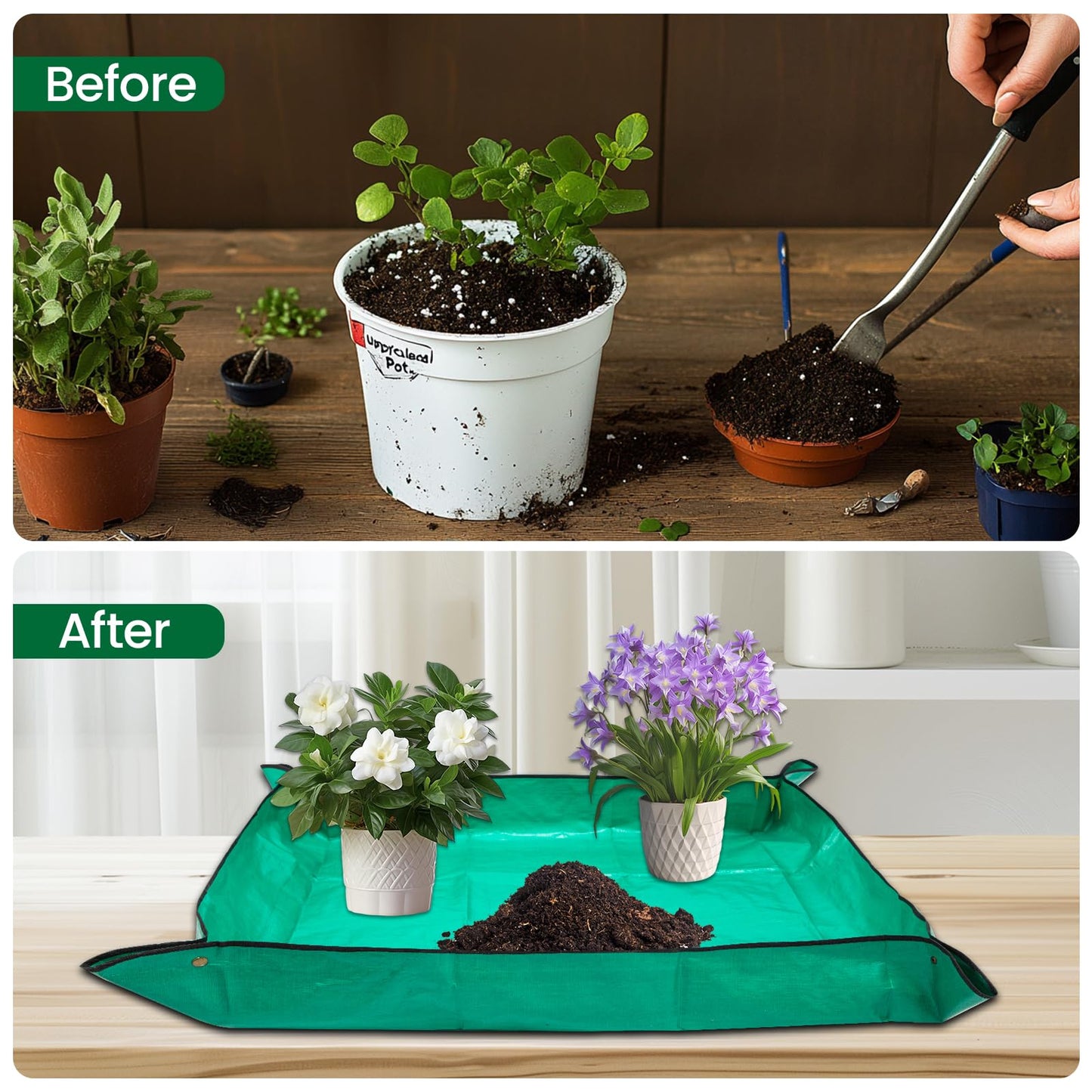 GROWNEER Bonsai Pots 3 Packs 11 Inch Bonsai Tree Training Pot with Humidity Drainage Trays & Repotting Mat Rectangle Planter Plants Starter Kit Growing for Garden Yard Office Indoor Outdoor