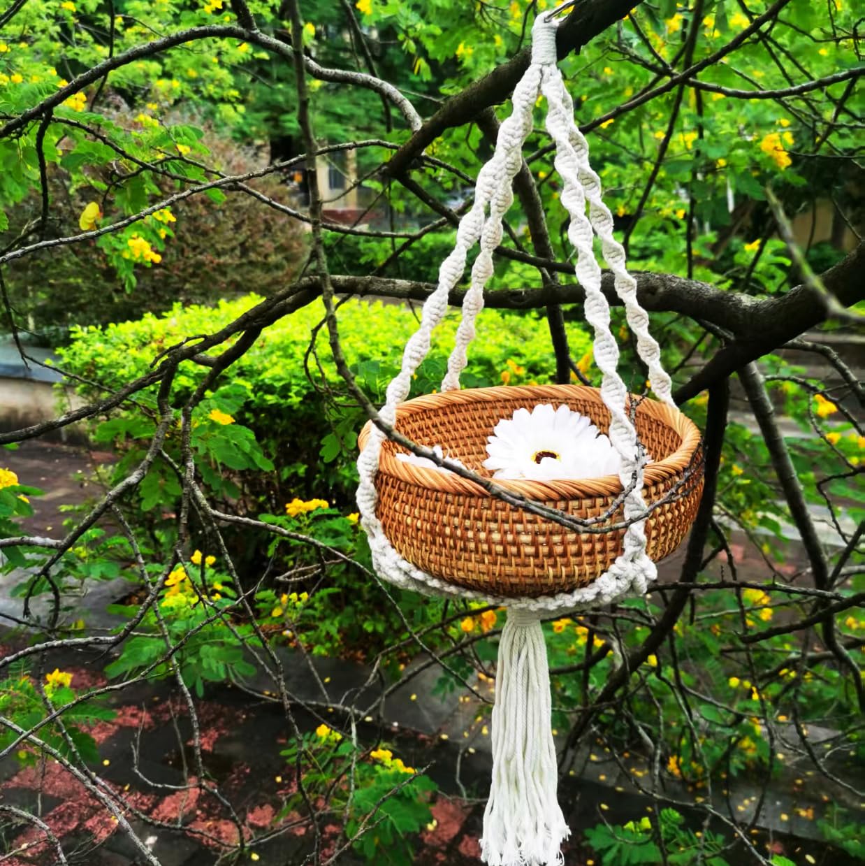 chicapica 8.7" Woven Macrame Plant Hanger & Hanging Rattan Basket - Boho Decorative Wall Basket for Indoor Plants & Dried Flowers - Handmade Wicker Storage for Farmhouse Home Decor, Living Room