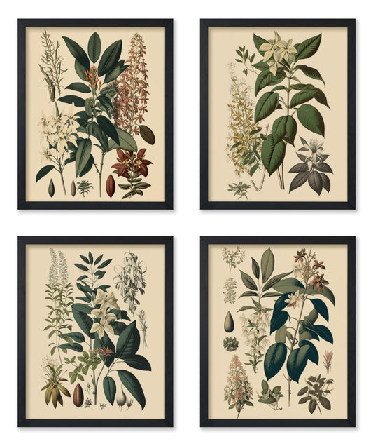 Poster Master 4-Piece Vintage Flower Poster - Retro Floral Print - Botanical Art - Chic Gift for Him, Her, Gardener, Florist - Perfect Wall Decor for Living Room, Flower Shop - 8x10 UNFRAMED Wall Art