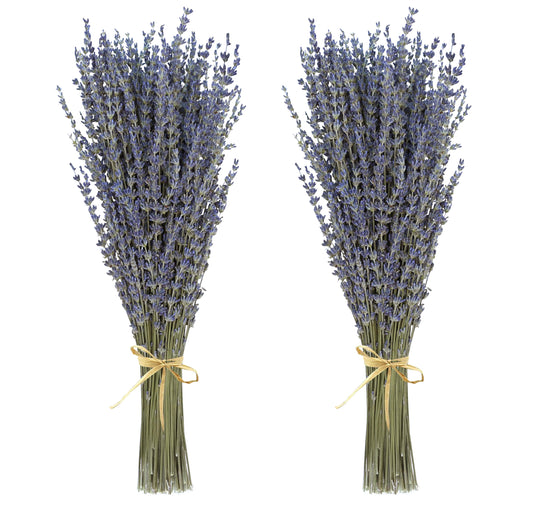 Dried Lavender 2 Bunches 100% Fresh Natural Purple Bouquet Flowers for Bathroom Photo Props Crafts Decoration, 15-17" for Shower Weeding Vase Decor, Home Fragrance(200-220 Stems(100g/3.5oz Total))
