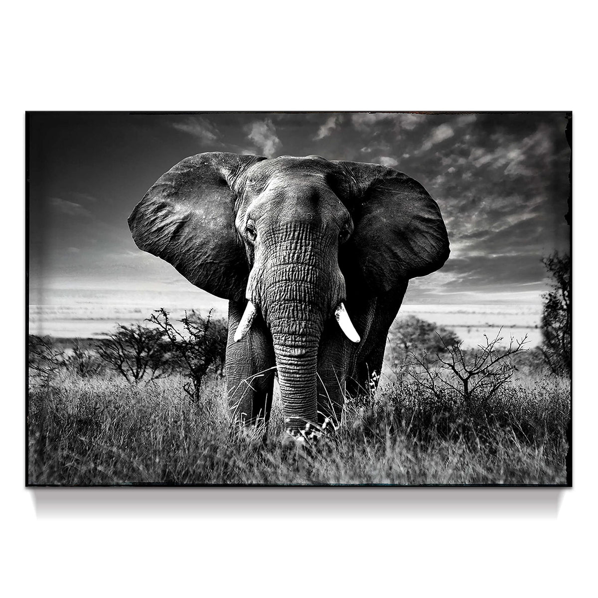 Elephant Black & White Wall Art - Rustic Canvas Painting - African Animal Picture - Natural Artwork for Bathroom & Bedroom Decor - 16x12 Inches