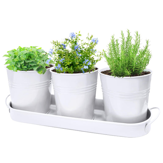 SORANGEUN Small Pots for Plants, 3-Pack 4.7 Inch White Metal Herb Pots, Mini Windowsill Planter for Succulent, Cactus, Basil, Mint, Rosemary