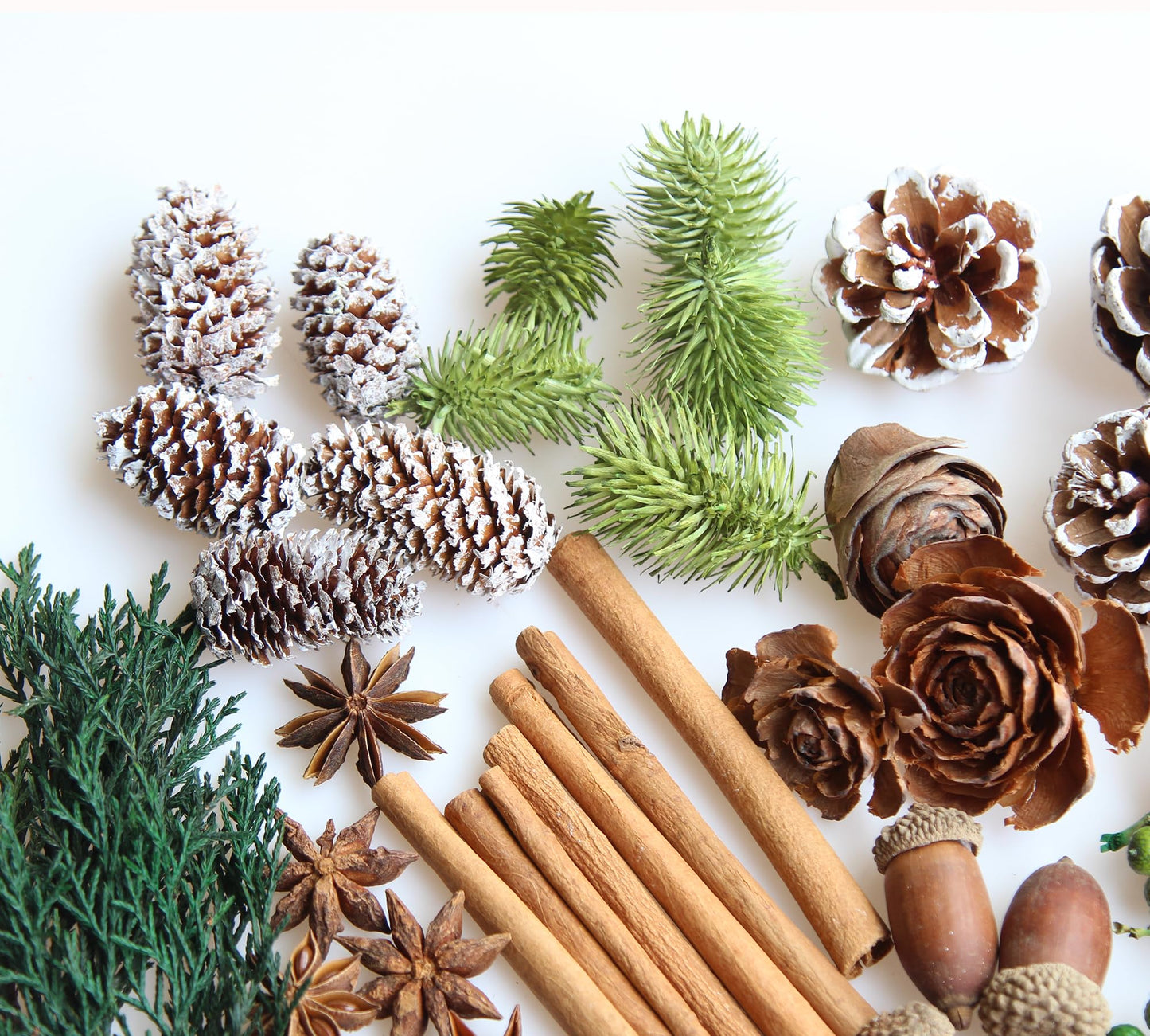 DIY Natural Dried Flower Kit - Bulk Dried Plants, Pine Cones, Scented Lemon Slices, Cinnamon Sticks Wood Roses & Mini Pinecones for Home Décor, Christmas Decoration (Green)