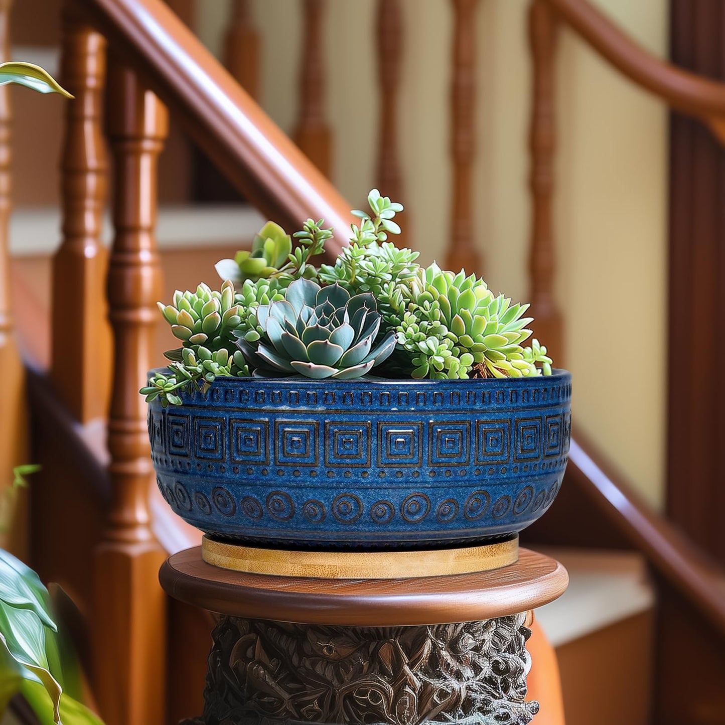 G EPGardening Bonsai Pots 8 Inch - Ceramic Succulent Pots, Round Planter for Indoor Plants, Modern Outdoor Planter with Drainage and Plant Saucer, Boho Home Decor, House Warming Gifts New Home, Blue