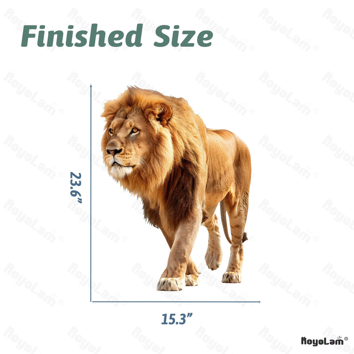 RoyoLam Lifelike Cool Walking Lion Wall Decal Nursery Animal Wall Sticker Removable Peel and Stick Wall Art Decor for Kid Baby Classroom Preschool Living Room Playroom Bedroom School