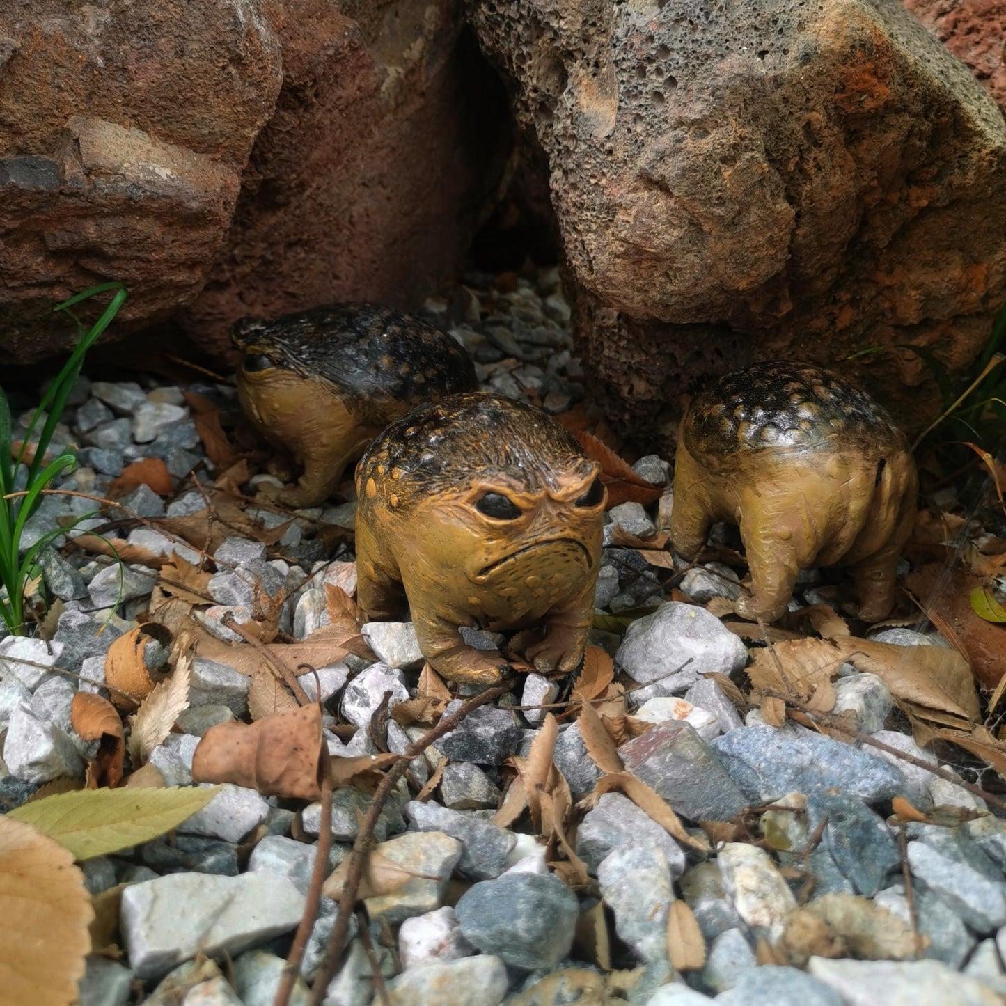 MOLMH Weird Queer Grumpy Frog Toad Statue Ugly Angry Outdoor Garden Yard Decor Statue Fun Novelty Home Office Decor Sculpture Unique Gift