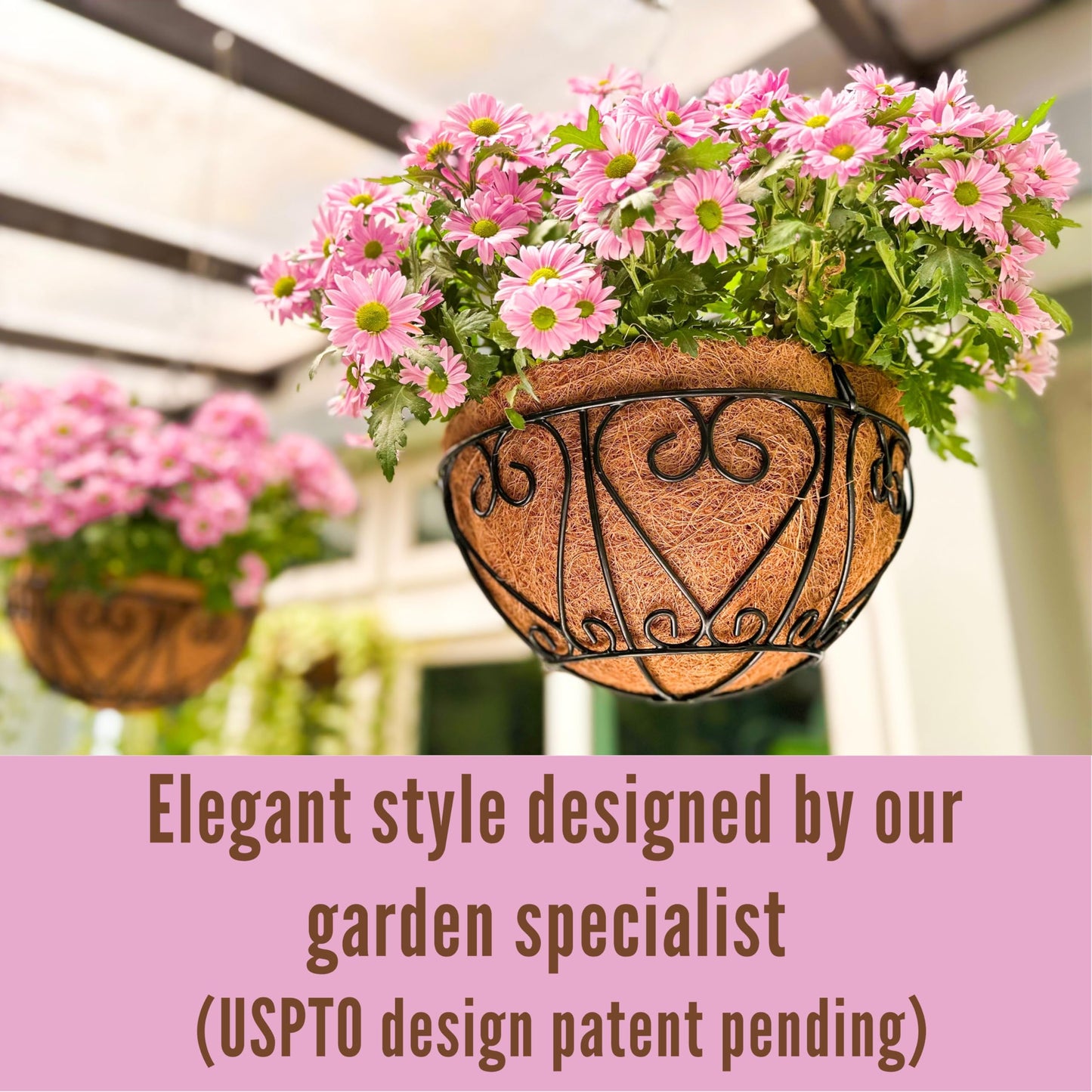 LaLaGreen Hanging Baskets for Plants (10 Inch, 2 Pack) Small Hanging Flower Pots with Coco Liner, Black Metal Wire Round Plant Holder with Hanger Hook Chain Outdoor Deck Patio Balcony Garden Decor