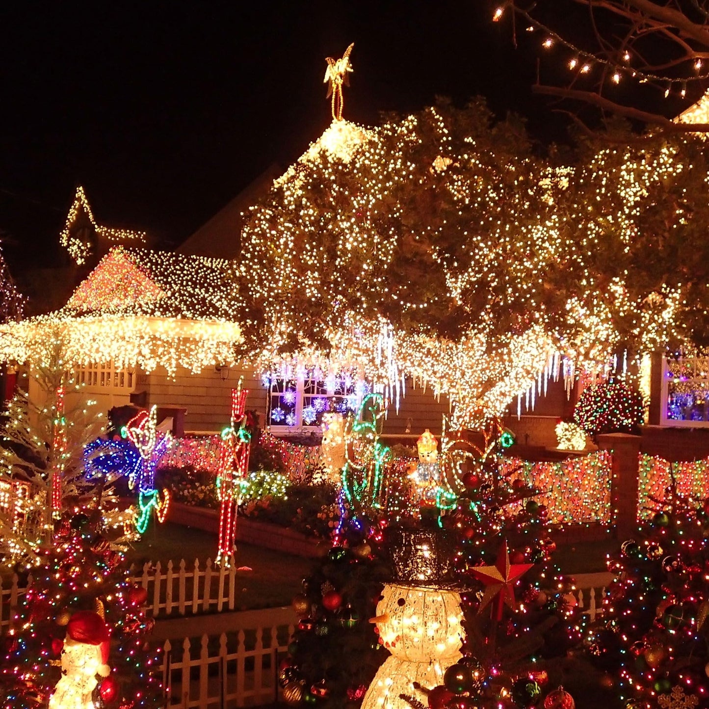 TW SHINE Christmas Lights, 200 LED 66FT Outdoor Christmas Lights Plug in with 8 Modes, Waterproof Light Outdoor, Indoor Xmas Decorations for Party Yard House Decor, Warm White