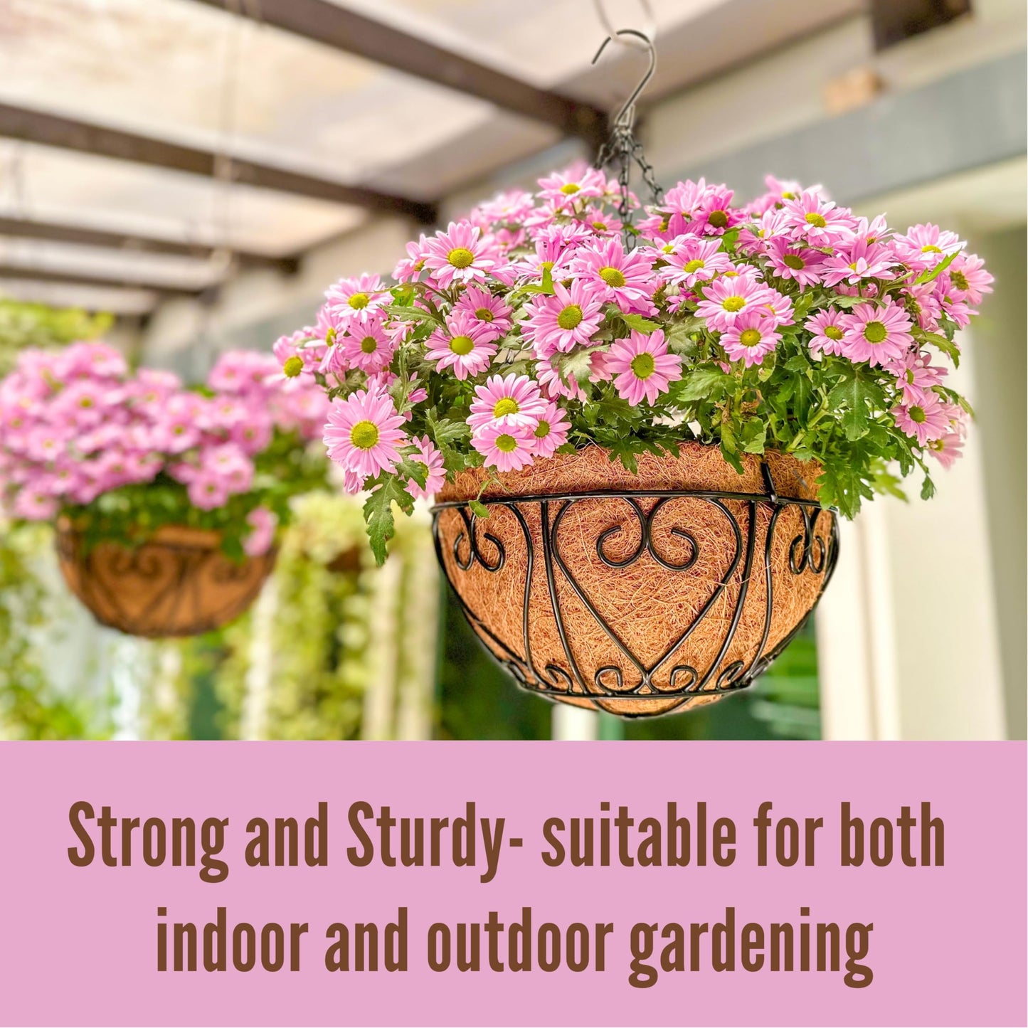 LaLaGreen Hanging Baskets for Plants (10 Inch, 2 Pack) Small Hanging Flower Pots with Coco Liner, Black Metal Wire Round Plant Holder with Hanger Hook Chain Outdoor Deck Patio Balcony Garden Decor