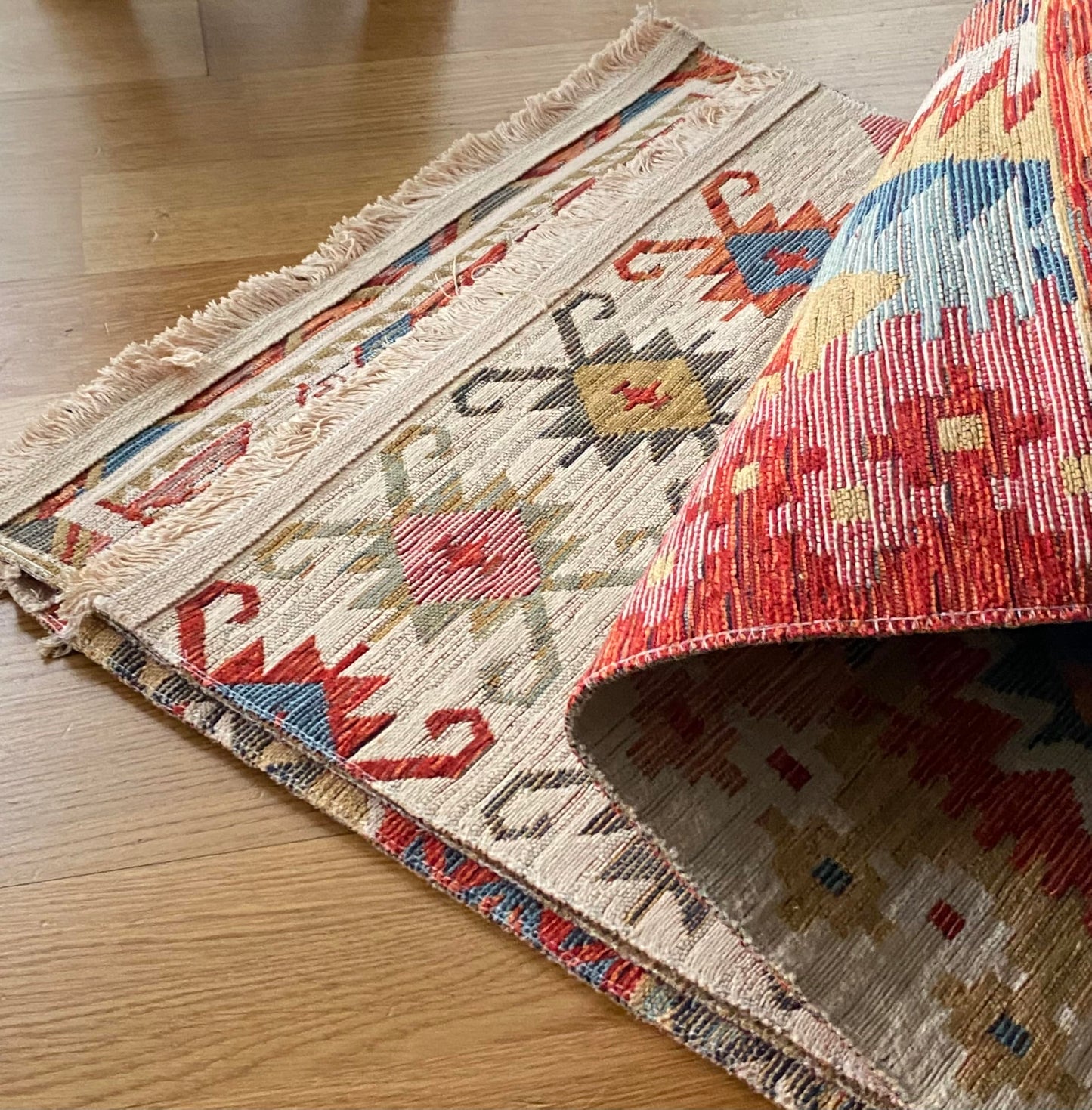 Secret Sea Collection: Modern Kilim Series Small Area Rug, Washable, Reversible, Cotton (2 x 3 feet, Worm Motif)