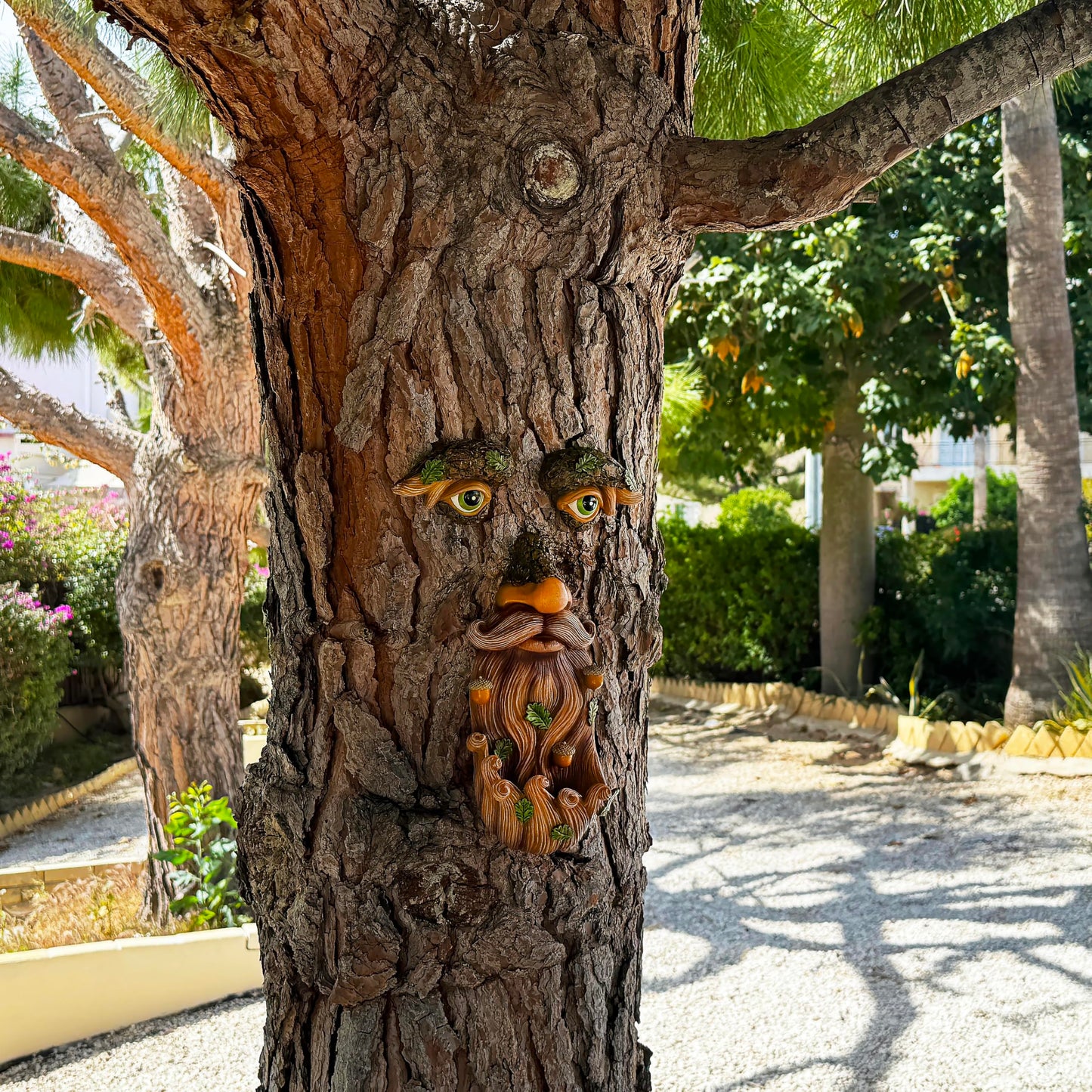 Mood Lab Tree Face Decor - Outdoor Bird Feeder with Acorns - Old Man Tree Face Garden Hugger Decoration
