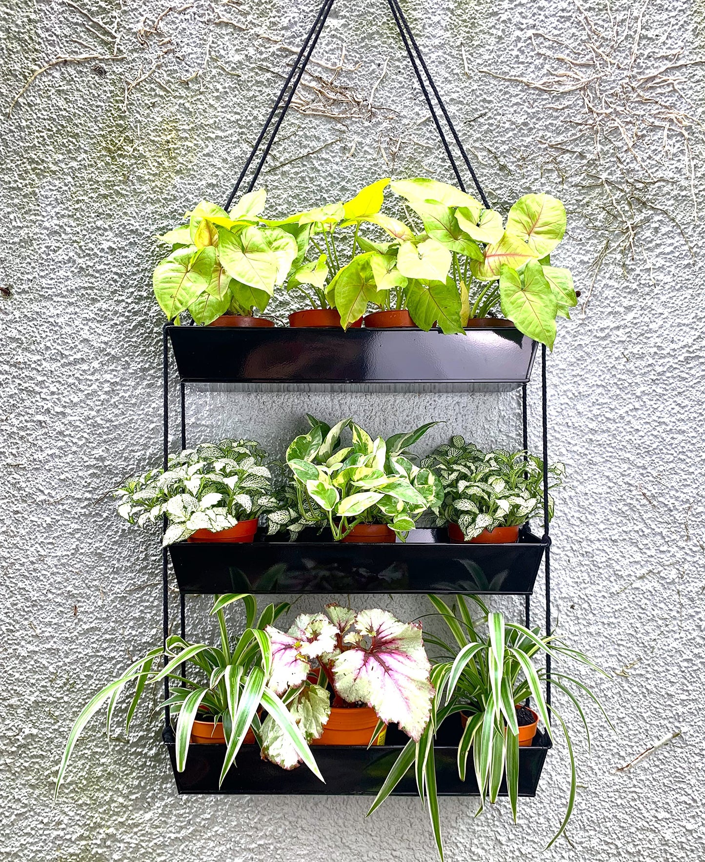LaLaGreen 16 Inch Wall Mounted Tiered Planter for Indoor Succulent Plants, 3 Tier Modern Black Rectangular Metal Planter